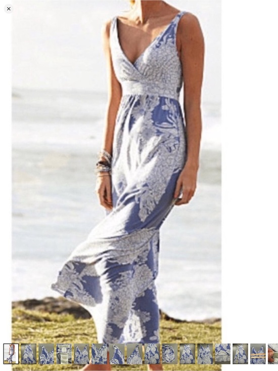 Garnet Hill Dresses & Skirts - Garnet Hill Blue & White Floral Jersey Knit Cotton Maxi Dress